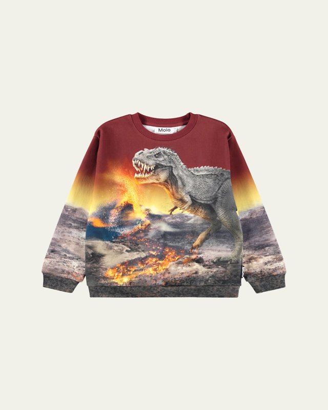 Boy's Miksi Sweatshirt, Size 2-7